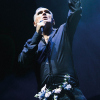 Morrissey