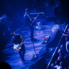 The Maccabees
