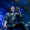 Die Toten Hosen