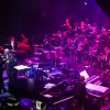 Metropole Orkest