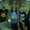 Foto Gatecreeper