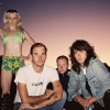 Foto Amyl and The Sniffers