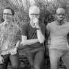 Bill Frisell Trio