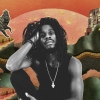 Foto Chronixx