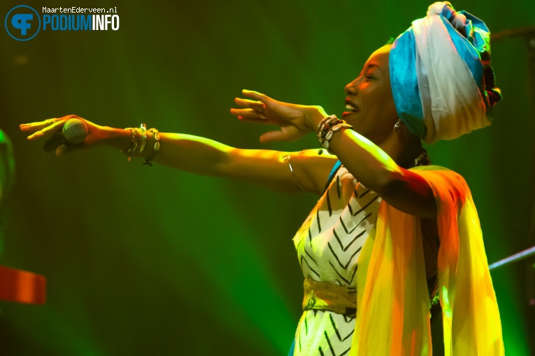 Fatoumata Diawara op Fatoumata Diawara - 07/02 - Paard foto