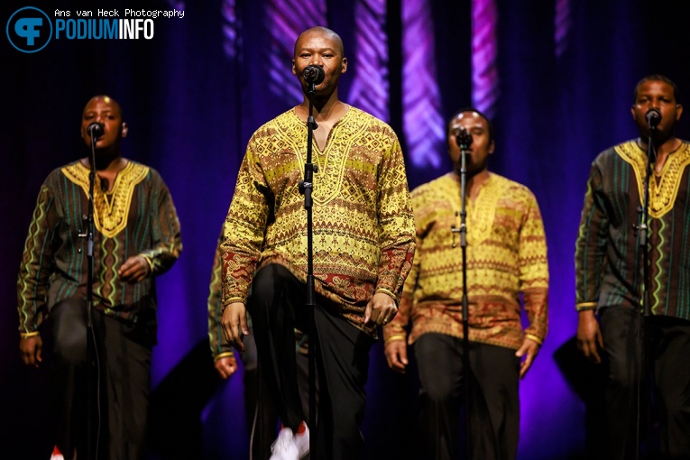 Ladysmith Black Mambazo op Ladysmith Black Mambazo - 11/05 - TivoliVredenburg foto