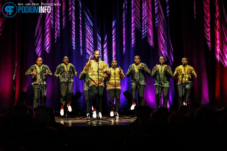 Ladysmith Black Mambazo op Ladysmith Black Mambazo - 11/05 - TivoliVredenburg foto