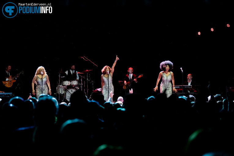 The Three Degrees op Three Degrees - 02/10 - Paard foto