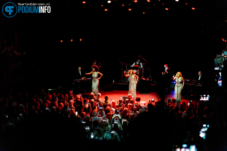 The Three Degrees op Three Degrees - 02/10 - Paard foto