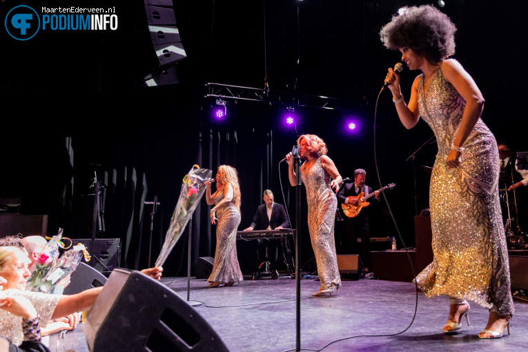 The Three Degrees op Three Degrees - 02/10 - Paard foto