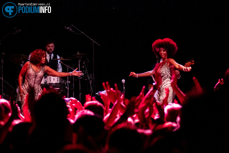 The Three Degrees op Three Degrees - 02/10 - Paard foto