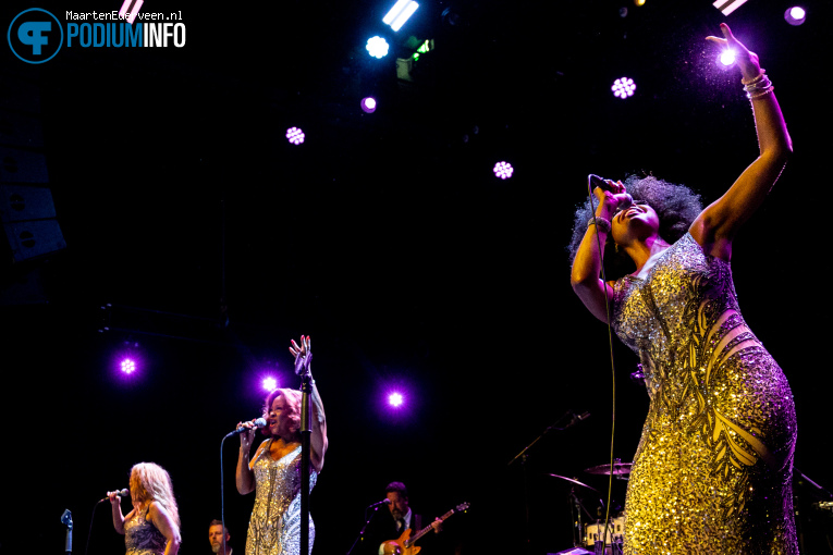 The Three Degrees op Three Degrees - 02/10 - Paard foto