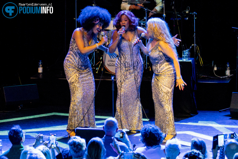 The Three Degrees op Three Degrees - 02/10 - Paard foto