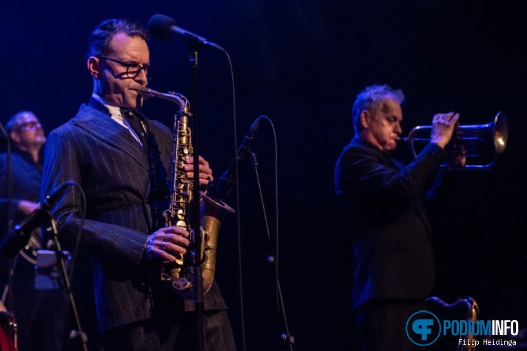 New Cool Collective op New Cool Collective - 24/01 - Metropool foto