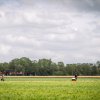 Festivalinfo review: Wilde Weide 2026
