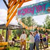 Festivalinfo review: Wilde Weide 2026