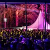 Festivalinfo review: Dicky Woodstock 2026