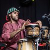 Festivalinfo review: Culemborg Blues 2026