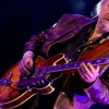 Festivalinfo review: Blues Festival De Doolhof 2026