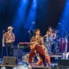 Festivalinfo review: Blues Festival De Doolhof 2026