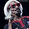 Foto Snoop Dogg te Pukkelpop 2012