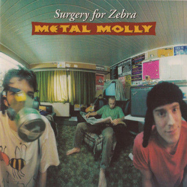 Metal Molly - Surgery for Zebra